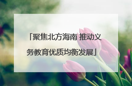 聚焦北方海南 推动义务教育优质均衡发展