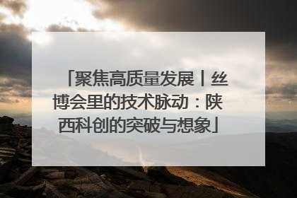 聚焦高质量发展丨丝博会里的技术脉动：陕西科创的突破与想象