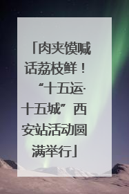 肉夹馍喊话荔枝鲜！“十五运·十五城”西安站活动圆满举行