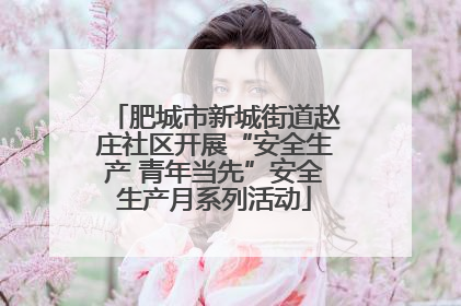 肥城市新城街道赵庄社区开展“安全生产 青年当先”安全生产月系列活动