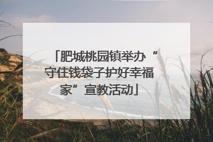 肥城桃园镇举办“守住钱袋子护好幸福家”宣教活动