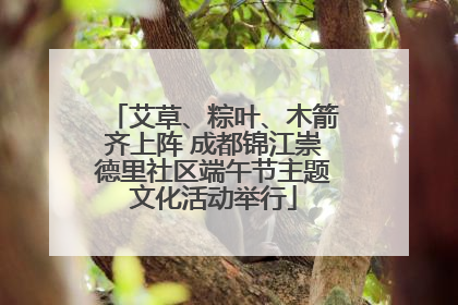 艾草、粽叶、木箭齐上阵 成都锦江崇德里社区端午节主题文化活动举行