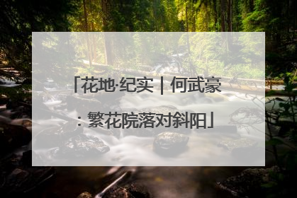 花地·纪实｜何武豪：繁花院落对斜阳