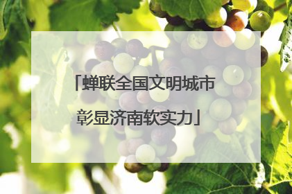 蝉联全国文明城市 彰显济南软实力