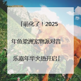 萌化了！2025年鱼梁洲宠物派对音乐嘉年华火热开启