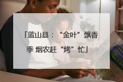 蓝山县：“金叶”飘香季 烟农赶“烤”忙
