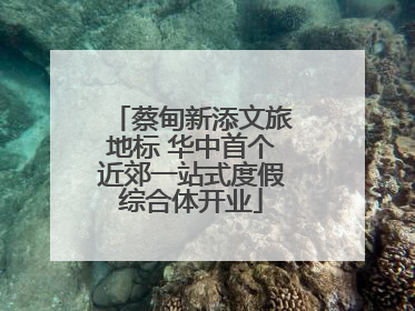 蔡甸新添文旅地标 华中首个近郊一站式度假综合体开业