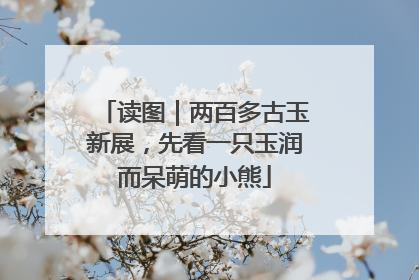 读图｜两百多古玉新展，先看一只玉润而呆萌的小熊