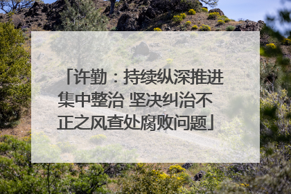许勤：持续纵深推进集中整治 坚决纠治不正之风查处腐败问题