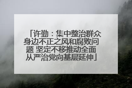 许勤：集中整治群众身边不正之风和腐败问题 坚定不移推动全面从严治党向基层延伸