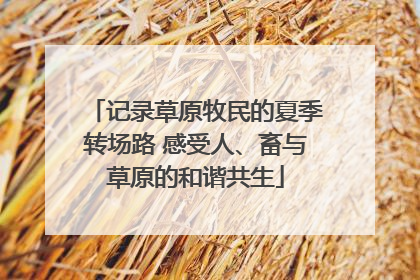 记录草原牧民的夏季转场路 感受人、畜与草原的和谐共生