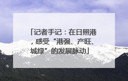 记者手记：在日照港，感受“港强、产旺、城绿”的发展脉动