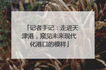 记者手记：走进天津港，窥见未来现代化港口的模样
