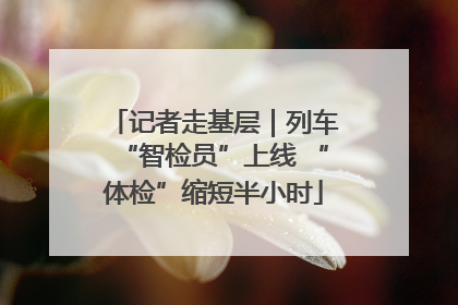 记者走基层｜列车“智检员”上线 “体检”缩短半小时