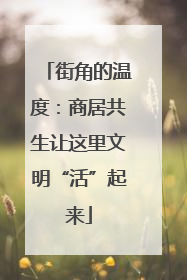 街角的温度：商居共生让这里文明“活”起来