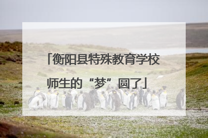 衡阳县特殊教育学校师生的“梦”圆了