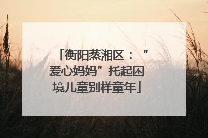 衡阳蒸湘区：“爱心妈妈”托起困境儿童别样童年