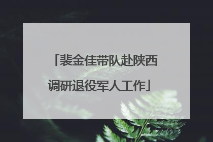 裴金佳带队赴陕西调研退役军人工作