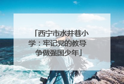 西宁市水井巷小学：牢记党的教导 争做强国少年
