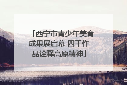 西宁市青少年美育成果展启幕 四千作品诠释高原精神