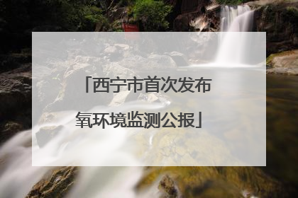 西宁市首次发布氧环境监测公报