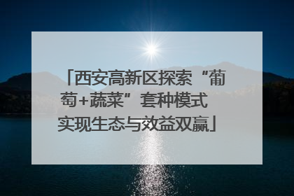 西安高新区探索“葡萄+蔬菜”套种模式 实现生态与效益双赢