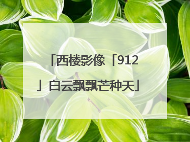 西楼影像「912」白云飘飘芒种天