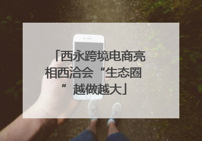 西永跨境电商亮相西洽会“生态圈”越做越大