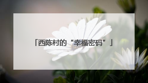 西陈村的“幸福密码”