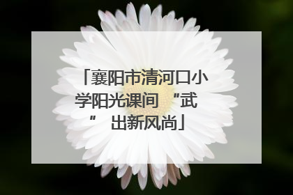 襄阳市清河口小学阳光课间 “武” 出新风尚