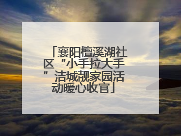 襄阳檀溪湖社区“小手拉大手”洁城靓家园活动暖心收官