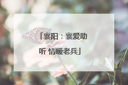 襄阳：襄爱助听 情暖老兵
