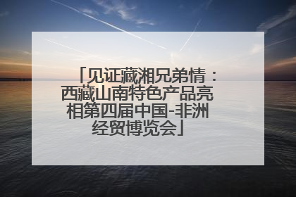 见证藏湘兄弟情：西藏山南特色产品亮相第四届中国-非洲经贸博览会