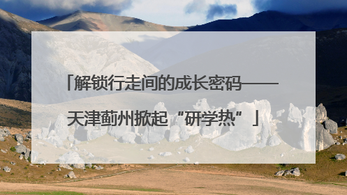 解锁行走间的成长密码——天津蓟州掀起“研学热”
