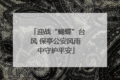 迎战“蝴蝶”台风 保亭公安风雨中守护平安