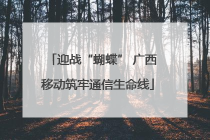 迎战“蝴蝶” 广西移动筑牢通信生命线