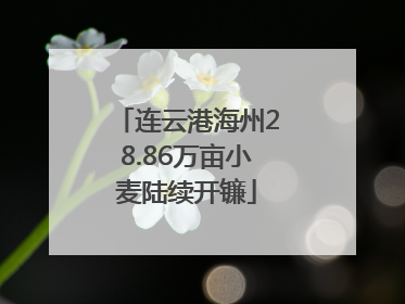 连云港海州28.86万亩小麦陆续开镰