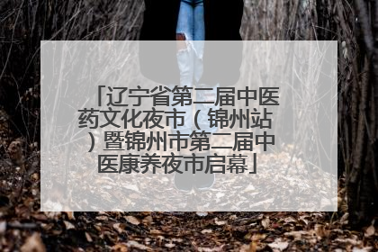 辽宁省第二届中医药文化夜市（锦州站）暨锦州市第二届中医康养夜市启幕