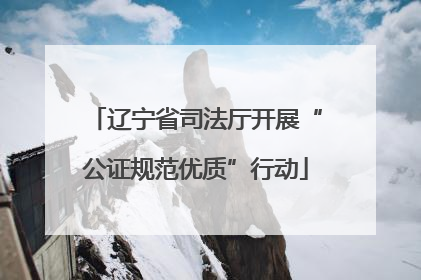 辽宁省司法厅开展“公证规范优质”行动