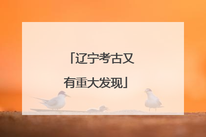 辽宁考古又有重大发现