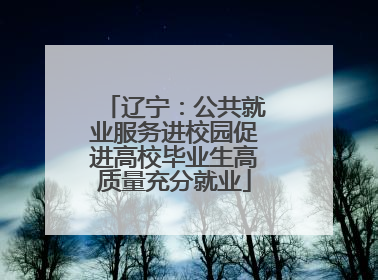辽宁：公共就业服务进校园促进高校毕业生高质量充分就业