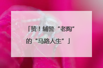 赞！辅警“老陶”的“马路人生”