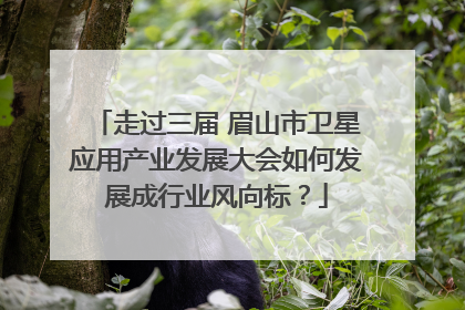 走过三届 眉山市卫星应用产业发展大会如何发展成行业风向标？