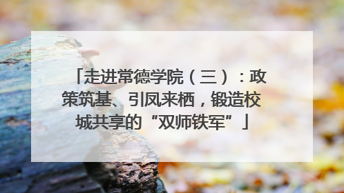 走进常德学院（三）：政策筑基、引凤来栖，锻造校城共享的“双师铁军”
