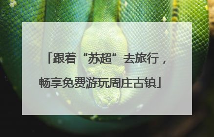 跟着“苏超”去旅行，畅享免费游玩周庄古镇