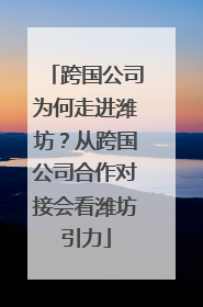 跨国公司为何走进潍坊？从跨国公司合作对接会看潍坊引力