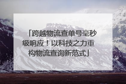 跨越物流查单号毫秒级响应！以科技之力重构物流查询新范式