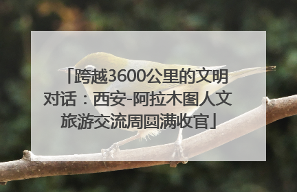 跨越3600公里的文明对话：西安-阿拉木图人文旅游交流周圆满收官