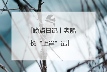 蹲点日记丨老船长“上岸”记