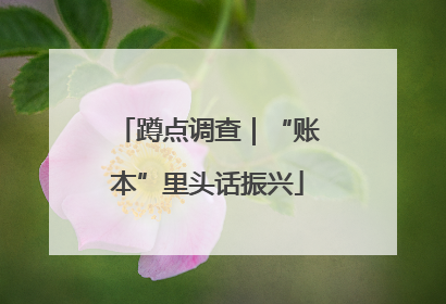 蹲点调查｜“账本”里头话振兴